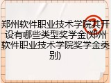 郑州软件职业技术学院共开设有哪些类型奖学金(郑州软件职业技术学院奖学金类别)