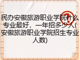 民办安徽旅游职业学院什么专业最好，一年招多少人(安徽旅游职业学院招生专业人数)