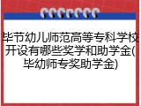 毕节幼儿师范高等专科学校开设有哪些奖学和助学金(毕幼师专奖助学金)