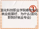 宣化科技职业学院哪些专业就业前景好，为什么(宣化职院好就业专业)