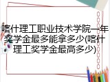 喀什理工职业技术学院一年奖学金最多能拿多少(喀什理工奖学金最高多少)