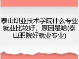泰山职业技术学院什么专业就业比较好，原因是啥(泰山职院好就业专业)