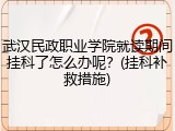 武汉民政职业学院就读期间挂科了怎么办呢？(挂科补救措施)