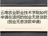 云南农业职业技术学院如何申请在读间的创业无息贷款(创业无息贷款申请)