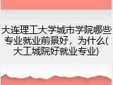大连理工大学城市学院哪些专业就业前景好，为什么(大工城院好就业专业)