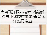 青岛飞洋职业技术学院读什么专业比较有前景(青岛飞洋热门专业)