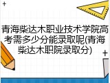 青海柴达木职业技术学院高考需多少分能录取呢(青海柴达木职院录取分)