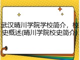 武汉晴川学院学校简介，校史概述(晴川学院校史简介)