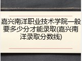 嘉兴南洋职业技术学院一般要多少分才能录取(嘉兴南洋录取分数线)
