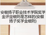 安徽扬子职业技术学院奖学金评定细则是怎样的(安徽扬子奖学金细则)