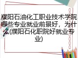 濮阳石油化工职业技术学院哪些专业就业前景好，为什么(濮阳石化职院好就业专业)