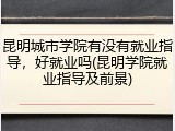 昆明城市学院有没有就业指导，好就业吗(昆明学院就业指导及前景)