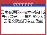 云南交通职业技术学院什么专业最好，一年招多少人(云南交院热门专业招生)