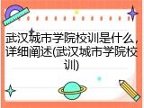 武汉城市学院校训是什么，详细阐述(武汉城市学院校训)