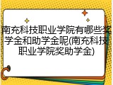 南充科技职业学院有哪些奖学金和助学金呢(南充科技职业学院奖助学金)