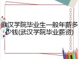 武汉学院毕业生一般年薪多少钱(武汉学院毕业薪资)