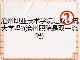 沧州职业技术学院是双一流大学吗?(沧州职院是双一流吗)