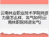 云南林业职业技术学院师资力量怎么样，名气如何(云南林职院师资名气)