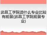 武昌工学院读什么专业比较有前景(武昌工学院前景专业)