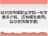 哈尔滨传媒职业学院一年学费多少钱，还有哪些费用(哈尔滨传媒学费)