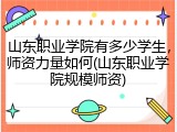 山东职业学院有多少学生，师资力量如何(山东职业学院规模师资)