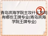 青岛滨海学院主攻什么方向有哪些王牌专业(青岛滨海学院王牌专业)