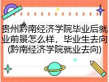 贵州黔南经济学院毕业后就业前景怎么样，毕业生去向(黔南经济学院就业去向)