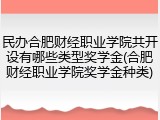 民办合肥财经职业学院共开设有哪些类型奖学金(合肥财经职业学院奖学金种类)