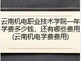 云南机电职业技术学院一年学费多少钱，还有哪些费用(云南机电学费费用)