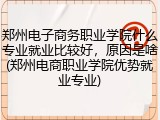 郑州电子商务职业学院什么专业就业比较好，原因是啥(郑州电商职业学院优势就业专业)