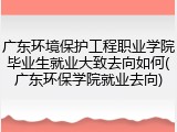 广东环境保护工程职业学院毕业生就业大致去向如何(广东环保学院就业去向)