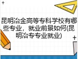 昆明冶金高等专科学校有哪些专业，就业前景如何(昆明冶专专业就业)