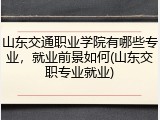 山东交通职业学院有哪些专业，就业前景如何(山东交职专业就业)