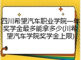 四川希望汽车职业学院一年奖学金最多能拿多少(川希望汽车学院奖学金上限)