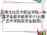 云南文化艺术职业学院一年奖学金最多能拿多少(云南艺术学院奖学金最高)