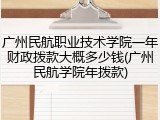 广州民航职业技术学院一年财政拨款大概多少钱(广州民航学院年拨款)