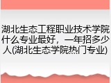 湖北生态工程职业技术学院什么专业最好，一年招多少人(湖北生态学院热门专业)