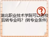 湖北职业技术学院可以进校后转专业吗？(转专业条件)