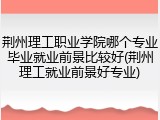 荆州理工职业学院哪个专业毕业就业前景比较好(荆州理工就业前景好专业)