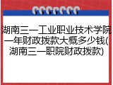 湖南三一工业职业技术学院一年财政拨款大概多少钱(湖南三一职院财政拨款)