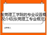 东莞理工学院的专业设置概况介绍(东莞理工专业概览)