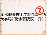 衡水职业技术学院是双一流大学吗?(衡水职院双一流？)