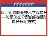 陕西能源职业技术学院宿舍一般是怎么分配的(陕能院宿舍分配方式)