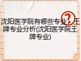 沈阳医学院有哪些专业，王牌专业分析(沈阳医学院王牌专业)