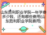 山东胜利职业学院一年学费多少钱，还有哪些费用(山东胜利职业学院费用)