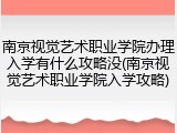 南京视觉艺术职业学院办理入学有什么攻略没(南京视觉艺术职业学院入学攻略)