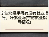 宁波财经学院有没有就业指导，好就业吗(宁财就业指导情况)