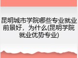 昆明城市学院哪些专业就业前景好，为什么(昆明学院就业优势专业)