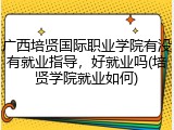 广西培贤国际职业学院有没有就业指导，好就业吗(培贤学院就业如何)