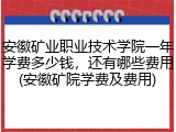 安徽矿业职业技术学院一年学费多少钱，还有哪些费用(安徽矿院学费及费用)